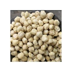 Candle nuts bulk supply wholesale cheap price premium quality kernels - Image 1