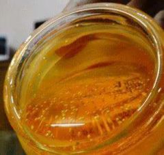 Food-Grade Soya Lecithin Liquid Emulsifier 2Y Shelf MOQ100 Renze Halal Kosher - Image 6