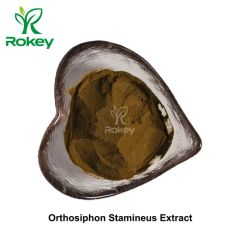 Premium Herbal Support Powder Pure Orthosiphon Stamineus Extract - Changsha Rokey Biotechnology Co., Ltd.