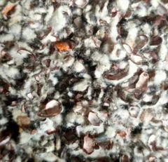 Cotton hulls( animal feed) – product photo 2, product detail gallery