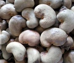 Raw Cashew nuts - Image 1
