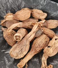 Aframomum melegueta / grains of paradise: used in nutraceutical industry as well as on African cuisine - Image 5