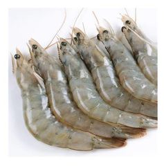 Wholesale Frozen Vannamei Shrimp for Global Seafood Market – product photo 5, product detail gallery