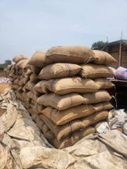 Raw Cashew Nuts (RCN) - Image 5