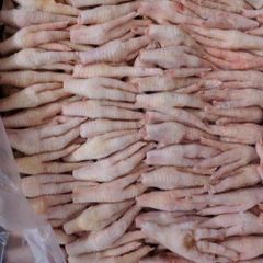 Wholesale Halal Chicken Feet / Frozen Chicken Paws Brazil / Fresh Chicken Wings and Feet and Paws - Image 1