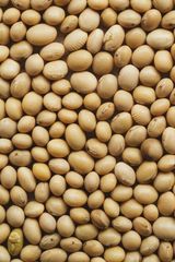Refined Soybean Oil - Image 2