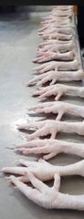 Grade A Halal :Frozen Chicken Feet, Frozen Chicken pews, Frozen Chicken Tails, Frozen Chicken wings,Mixed Chicken Thighs - Image 6