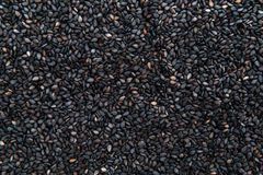 Black Clumin Seed - Image 3