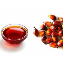 Palm Oil  – product photo 2, product detail gallery