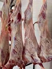 Goat meat Shelf Life 14-21 Packaging packed Temperature Control Chilled Source Verification Verified Sources Processing Standards Strict Export Standards - Image 2