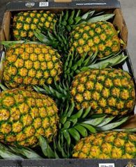 Pineapple - Image 1