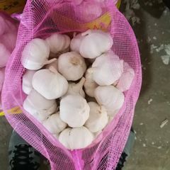 China High Quality Garlic for Wholesale - Image 4