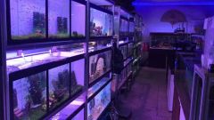 Industrial Aluminium Extrusions Profile Frame System for Fish Tank Rack - Image 3