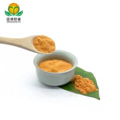 GMP Factory Supply Hawthorn Berry Juice Powder - Image 2