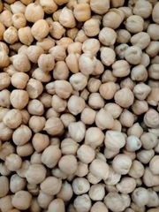 Wholesale Raw Chickpeas Dried Desi Chickpeas White Chick Pea Beans Kabuli - Image 1