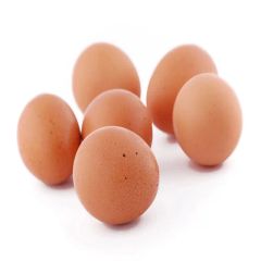 Fast Delivery Ross 308 Hatching Eggs for sale Premium Quality and trusted source for hatcheries order wholesale - Image 5