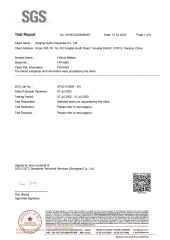 RoHS Test report of Li-FeS2 batteries certificate from NANJING RUIZHI INDUSTRIES LTD