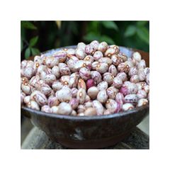 Whole sugar beans in stock for large volume orders and shipment - Image 2