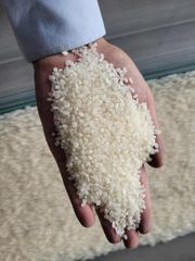 Japonica Rice (Japanese sushi rice) - Image 4