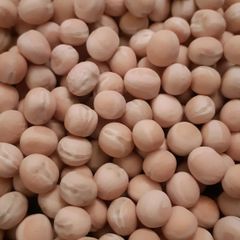 Premium White Peas Whole Natural Beans High Protein Rich In Fiber Ideal For Bulk Buyers - Image 3