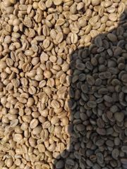 Green beans coffee - Image 1