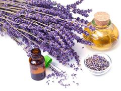 Dried lavender flower Grade Organic Shelf Life 2 years Packaging 10kg bags Benefits Stress Relief, Better Sleep, And A Pleasant Scent In Various Crafts And Household Items - Image 1