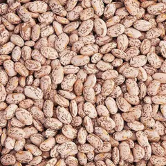 Pinto Beans, Red kidney beans, Mung beans wholesale – product photo 1, product detail gallery