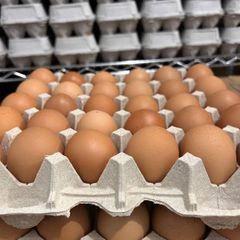 Wholesale Fresh Brown Eggs Distribution - Image 2