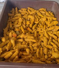 Double polish Turmeric whole Color Deep Golden Hue Flavor Earthy Fragrance Packaging 50 kg jute bag Shelf Life Long Shelf Life - Image 1