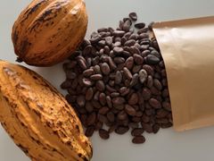 Sun dried Cocoa Beans – product photo 1, product detail gallery