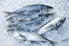 Mackerel Fish Mackerel range in size from small forage fish to larger game fish Mackerel Fish Mackerel - Image 4
