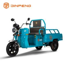 Factory Price Dual Backrest Electric Tricycle with LED Headlights and Drum Brakes - Jiangsu Jinpeng Group Co., Ltd.