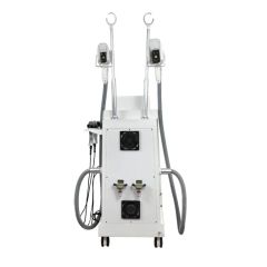Button Screen Vertical Cryolipolysis Fat Loss Body Shaping Machine - Image 4