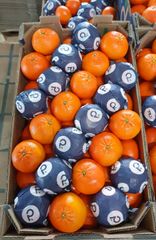 FRESH NADORCOTT MANDARINS FOR SALE!! CLASS 1 EXPORT QUALITY NADORCOTT MANDARINS FOR EXPORT – product photo 1, product detail gallery
