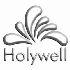 HONGKONG HOLYWELL ENTERPRISE LIMITED