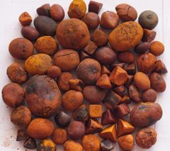 Ox,Cow,Cattle, Gallstones Size Large Stones Type COW GALLSTONE Color Yellow Golden Orange Color Bilirubin Content Not Less Than 35% - Image 1