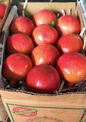 Pomegranate - Image 1