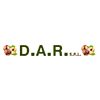 D.A.R. S.R.L.