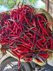 Fresh Chili Red Curly Chili - Image 5