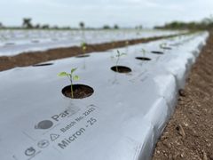 Mulching Film - Image 1