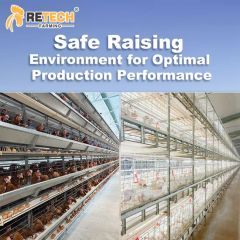 Chicken House Poultry Farm Chain type Harvesting Broiler Cage Poultry Equipment Poultry Cage - Image 6