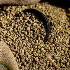 Arabica - Image 5