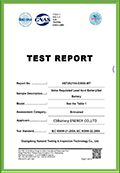 IEC 60896 21 22 certificate from CSSUN Energy Co., Ltd