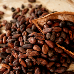 Sri Lanka Organic Dry Cocoa Beans – product photo 1, product detail gallery