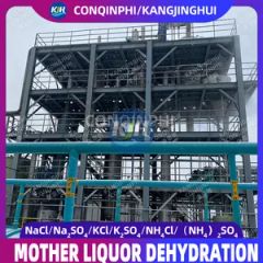 Forced Circulation Triple-Effect Evaporation Freeze Crystallization Equipment - Image 1
