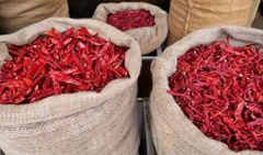 Red chilli - Byadgi – product photo 5, product detail gallery