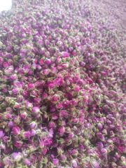 Lalehzar Rose Buds - Image 1