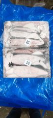 Loligo squid Origin India Quality Grade A Grade Storage Temperature -18°c Or Below Packaging Block Frozen 6x1.8kg - 10.8 Kg Net - Image 1