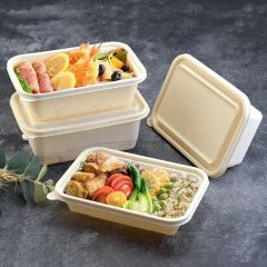 Low Price Eco Friendly Corn Starch Disposable and Compostable Snack Sushi Food Tray Takeaway Box with Lid - QINGDAO QUEENRE DEVELOPMENT CO., LTD