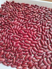 Egyptian red kidney beans _ Organic - Image 1